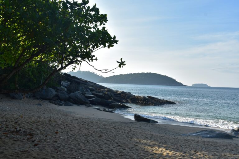 Phuket Rent a Motorbike